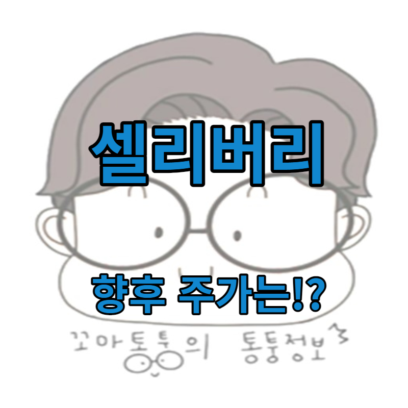 셀리버리 주가
