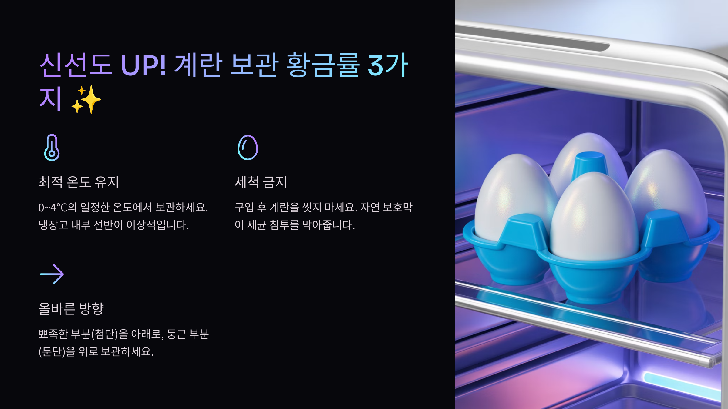 신선도 UP! 계란 보관 황금률 3가지 ✨