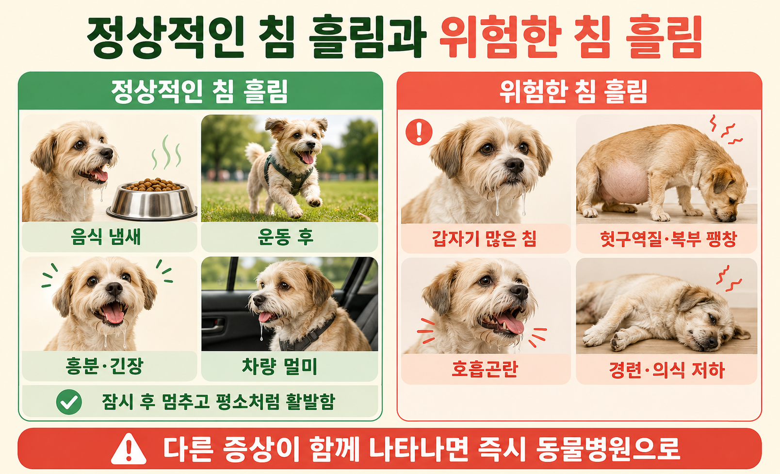 강아지의 정상적인 침 흘림과 호흡곤란&middot;복부 팽창&middot;경련이 동반된 위험한 침 흘림 비교