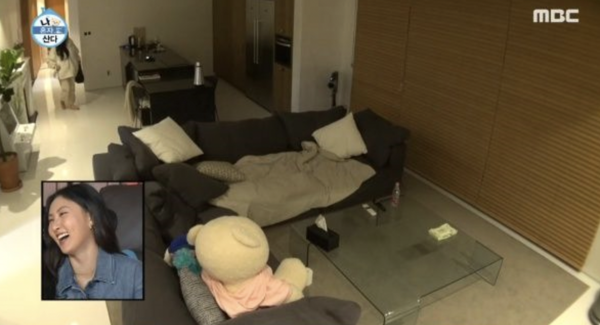 가수 화사 집