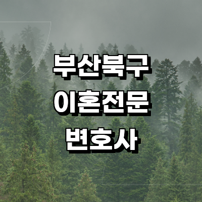 부산 북구 이혼 변호사