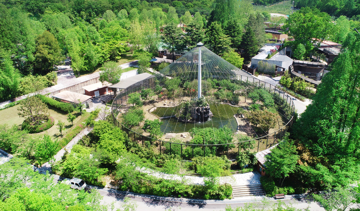 전주여행 가볼만한 곳 베스트10_ 08. 전주 동물원 & 수목원 (벚꽃, 단풍, 입장료, 주차, 놀이동산)