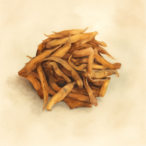 침향_부작용_주의사항