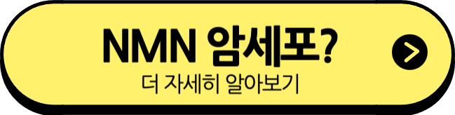 NMN이 암세포에도 영향을 줄까? 암 발생과의 연관성 총정리