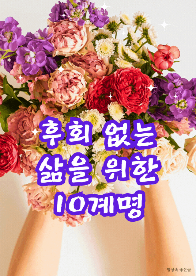 후회 없는 삶을 위한 좋은글 감성 이미지