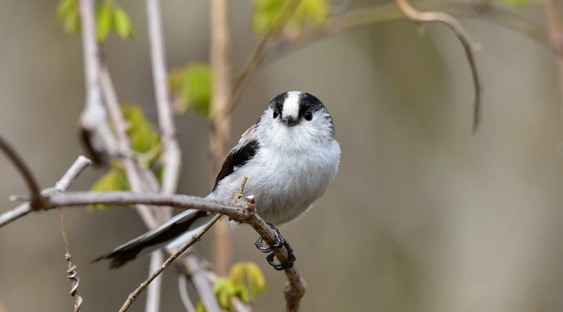 CBT 시험의 개념
