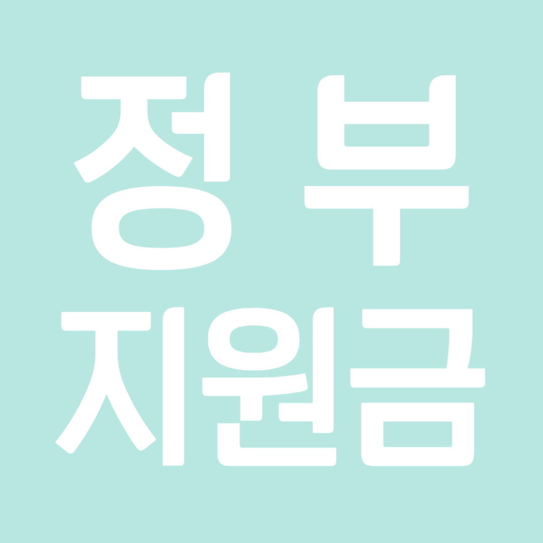 정부지원금