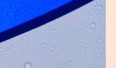 장마 예상 기간 2025년