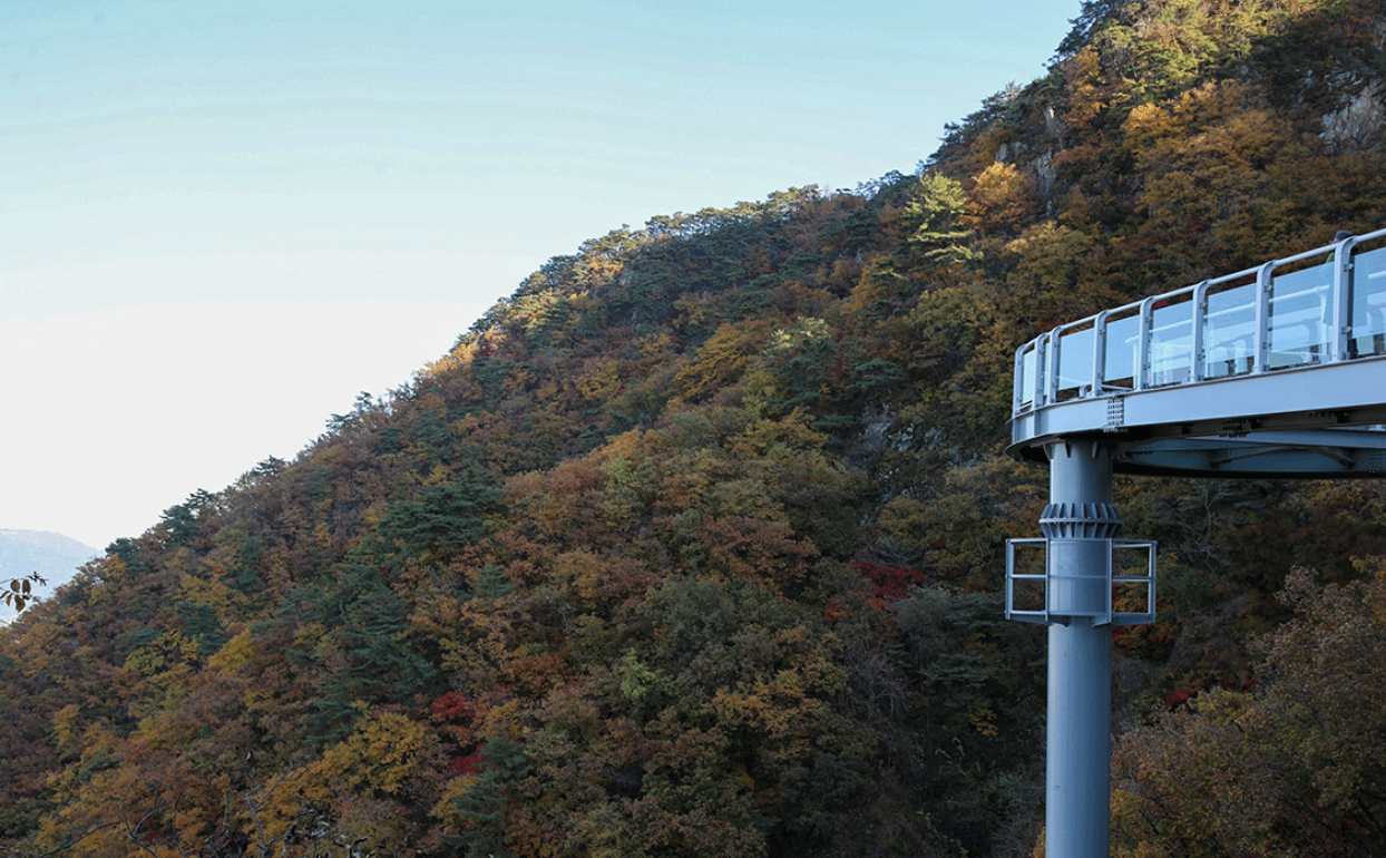 산책길&스카이워크