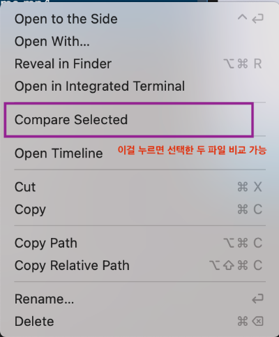 선택파일 비교