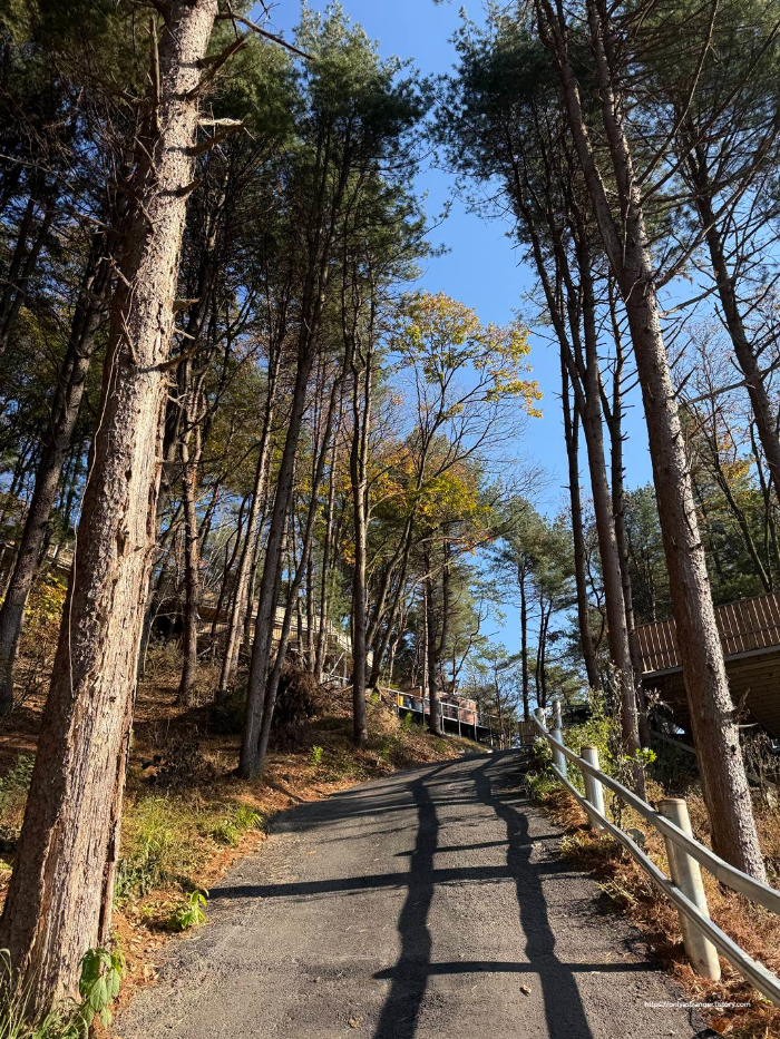 B사이트로 올라가는 입구