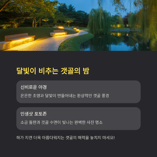 달빛이 비추는 갯골의 밤