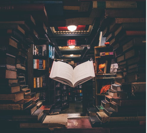 독서 감상문 잘 쓰는 법