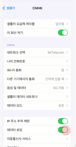아이폰-eSIM-데이터로밍-활성화