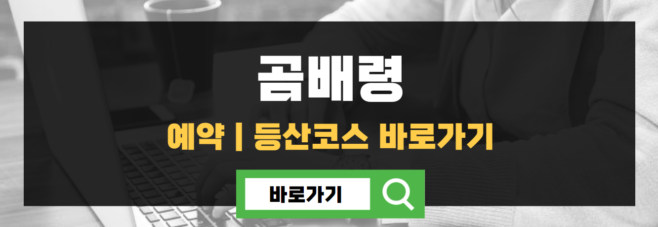 곰배령 예약하기