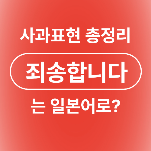 실례 사과 미안 미안해 미안합니다 죄송합니다 실례합니다 일본어로