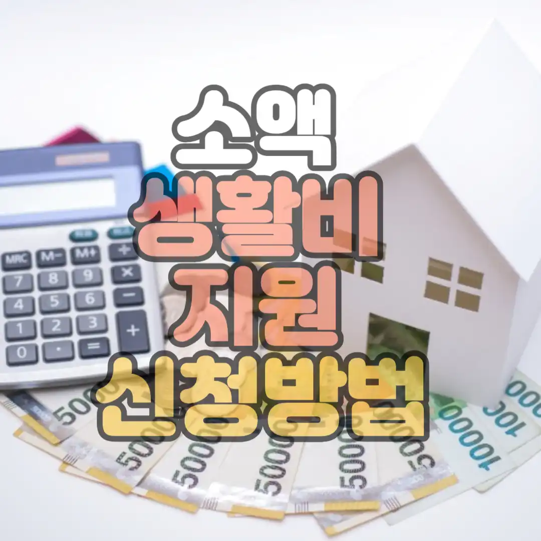 소액 생활비 지원