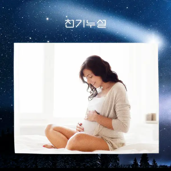 임신하는 꿈 해몽