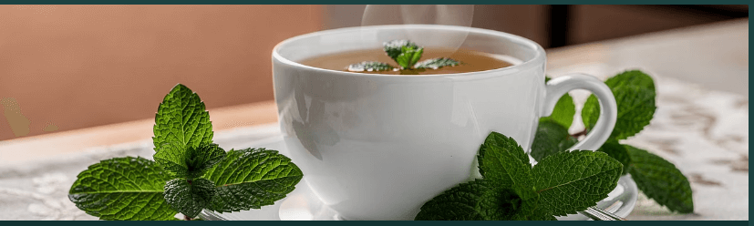 수면에 도움 되는 차 TOP3