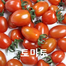 토마토의효능및부작용