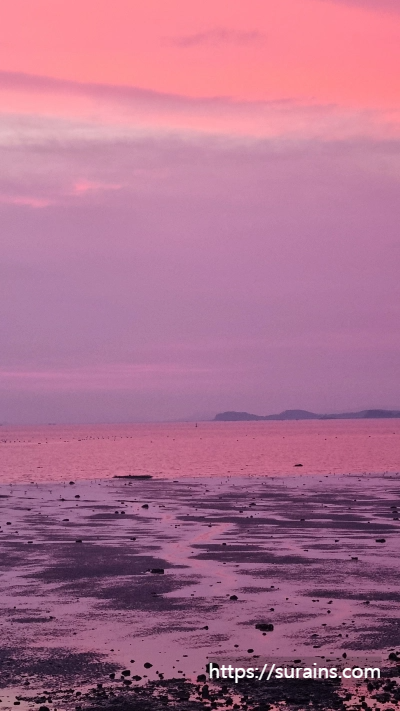 제부도 조개구이 맛집 가성비 좋은 선창 횟집 여행 후기