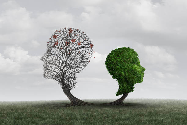 정체성 기반 습관이 오래가는 이유: 지속 가능한 습관의 핵심 원리