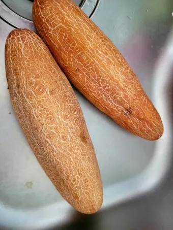 노각무침 레시피 맛있게 만드는 방법_14