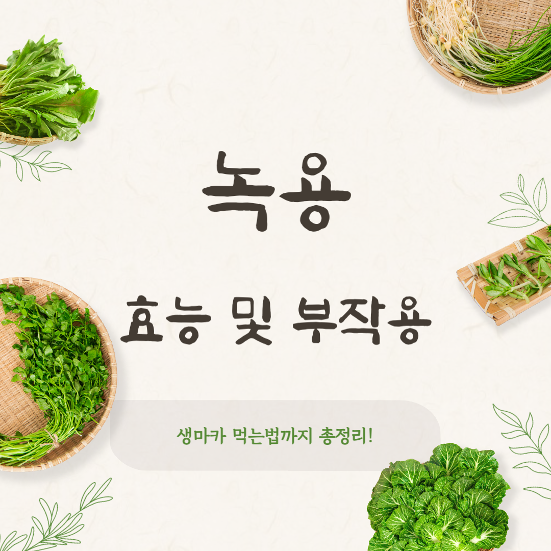 녹용 효능과 부작용 완벽 분석!