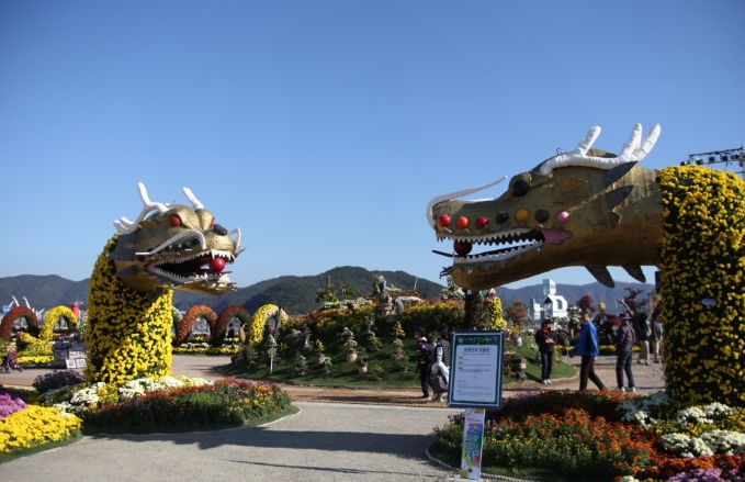 마산 국화축제
