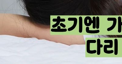 추간판 탈출증 증상