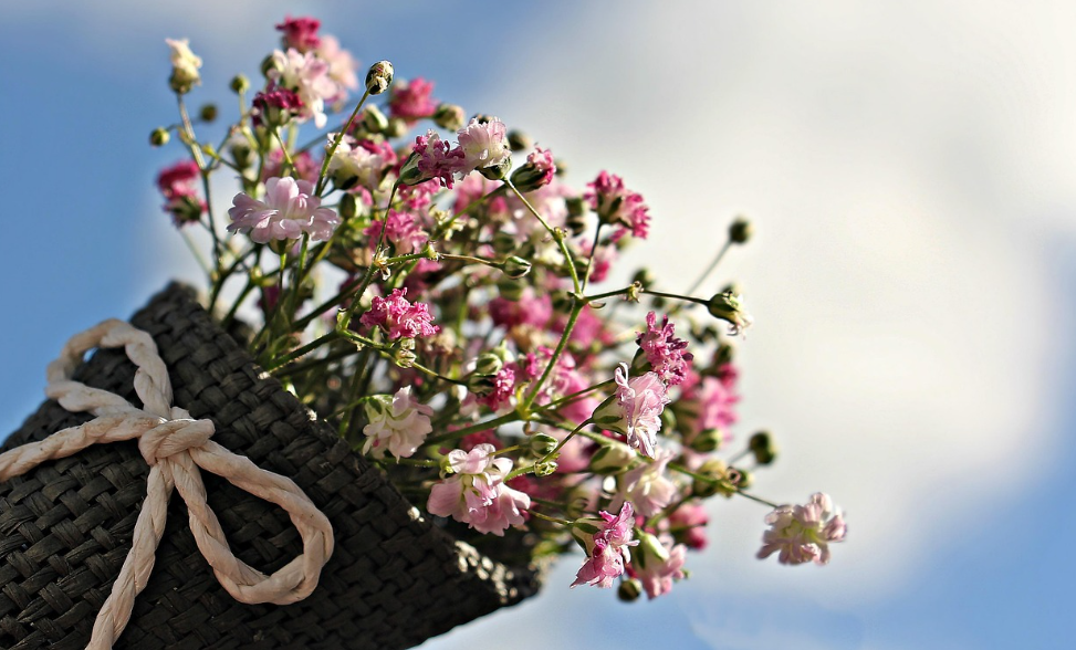 갱년기란? 호르몬 변화로 시작되는 몸과 마음의 전환기 완전 정리