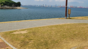 반려견과 함께하는 전국휴게소