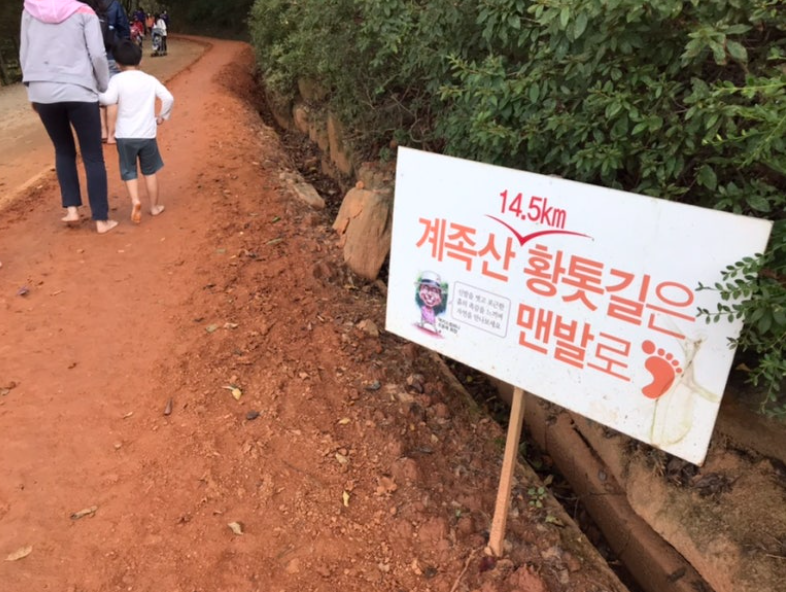 대전 여행 추천