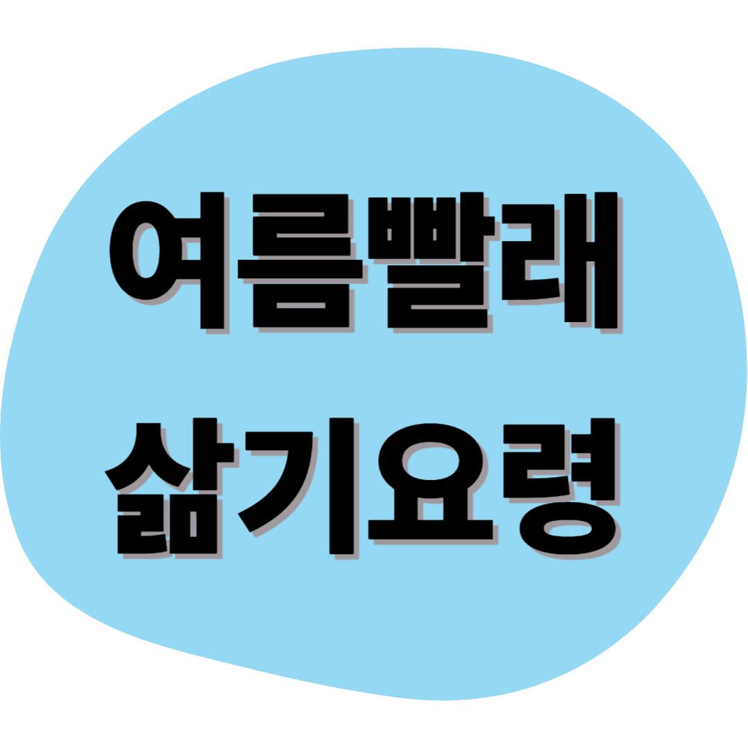 여름 빨래 삶기 꿀팁