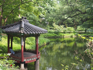 창경궁 물빛연화