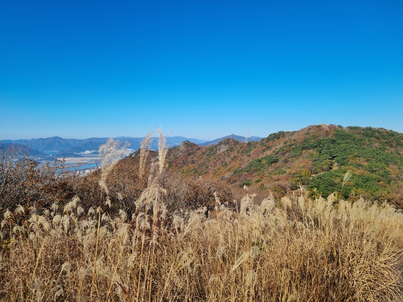 백양산