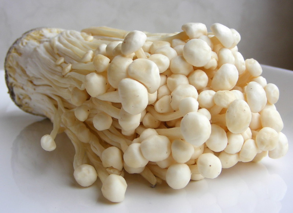 팽이버섯