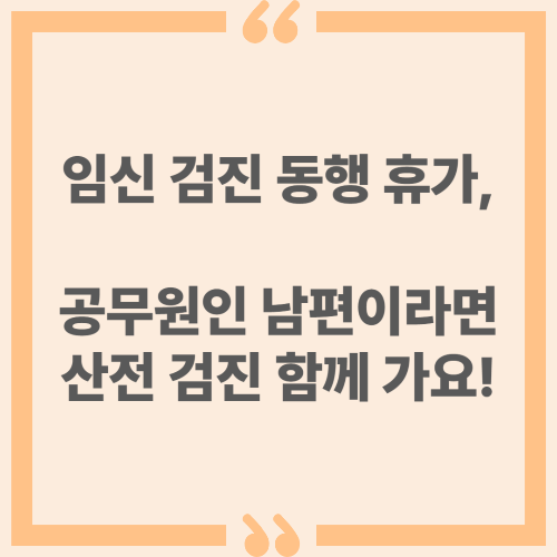 임신 검진 동행 휴가, 공무원인 남편이라면 산전 검진 함께 가요!