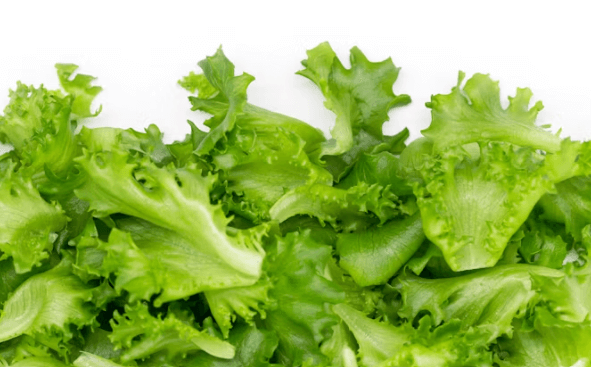 숙면 &amp;건강 꿀팁: 밤에 먹으면 좋은 음식 6가지