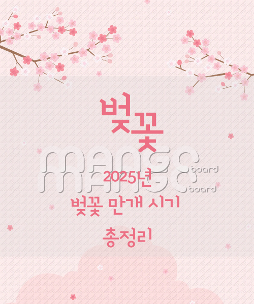 올해 벚꽃 언제 피나요?｜2025 전국 벚꽃 개화 예측과 명소 추천