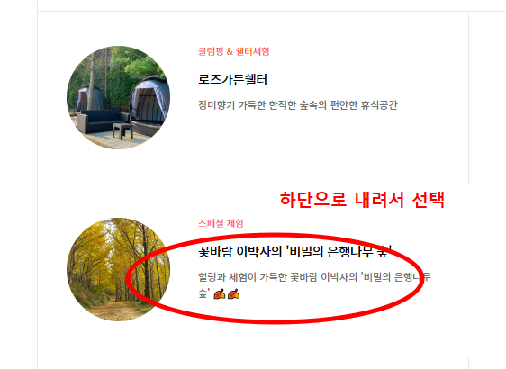 비밀의 은행나무 숲 예약방법