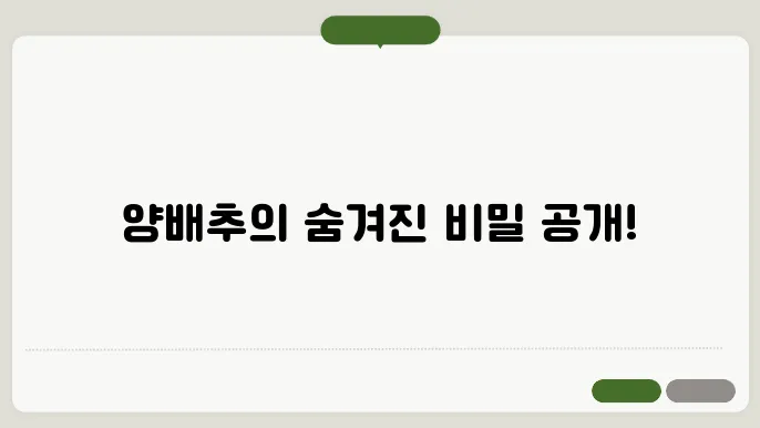양배추 효능 10가지, 부작용