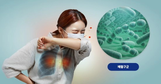 폐렴구균 예방접종 가격 횟수 총정리