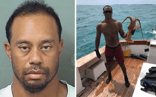 타이거우즈-약물치료-중