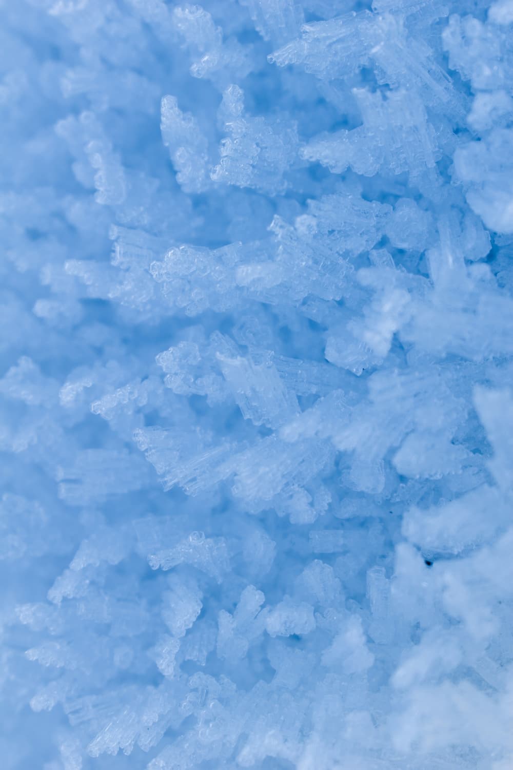 옥수수 전분 기반 보냉제 제품 이미지