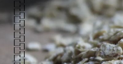 귀리 효능과 부작용