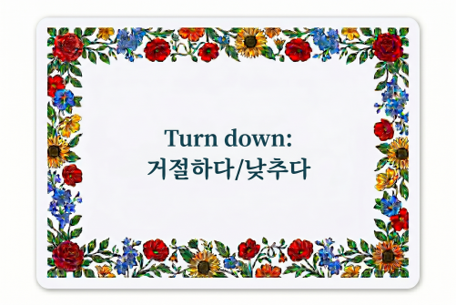 Turn down 거절하다