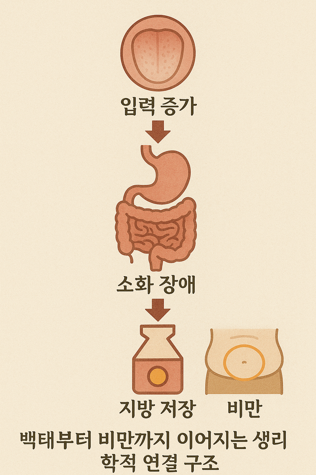 "백태부터 비만까지 이어지는 생리학적 연결 구조"