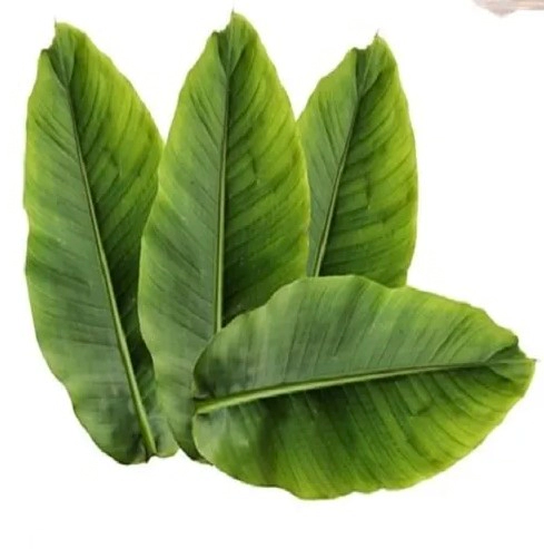 바나바잎 먹는법 차 끓이는 방법 및 바나바 잎 성분 정리