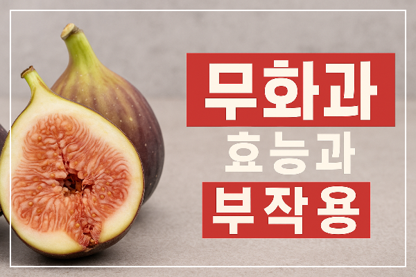 무화과 효능과 부작용